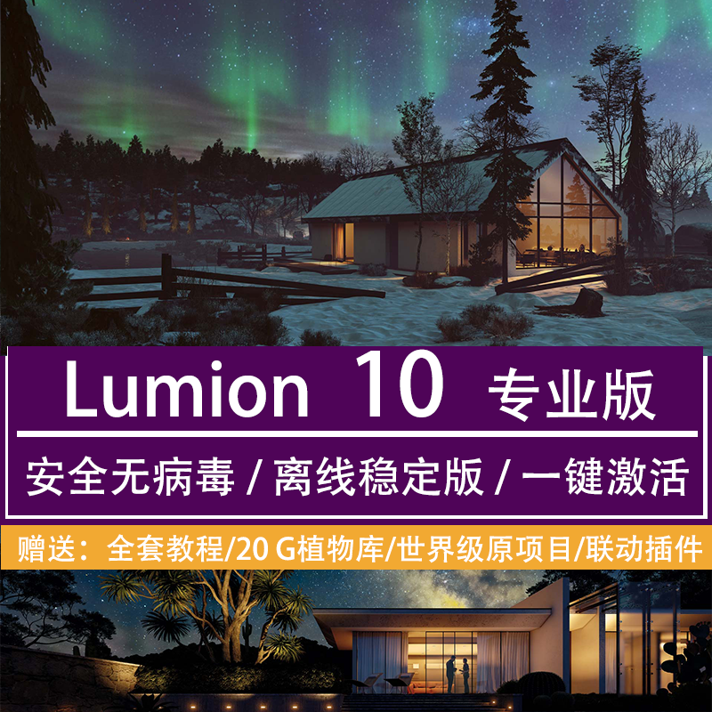Lumion 10Pro/9.0 8.0专业版软件安装包远程安装服务
